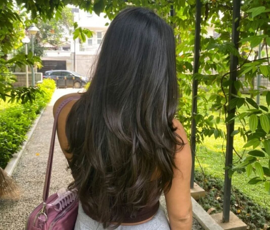 466606912_1230142678249768_5091759091873760902_n