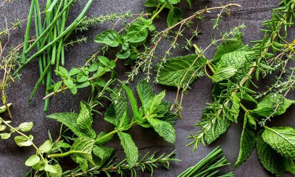Το καλύτερο βότανο για δυσπεψία, κρυολόγημα, πονοκέφαλο και κνησμό