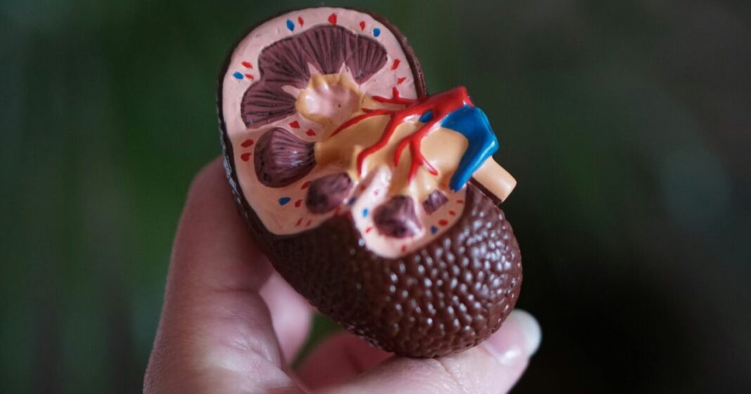 robina-weermeijer-szKjHyPq28-unsplash-1200x630