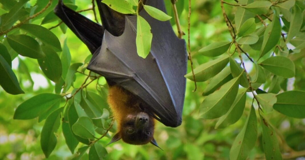 waldemar-MTcfS3HUak8-unsplash-1200x630