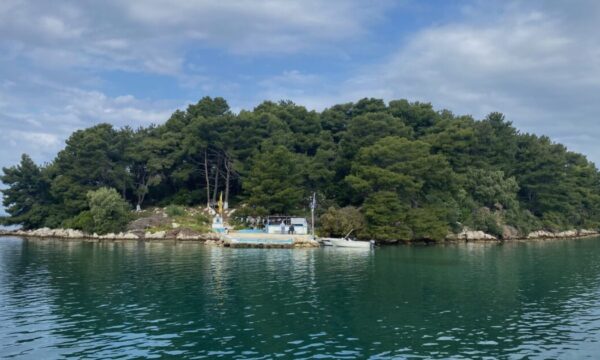 Το μυστηριώδες νησάκι της Ηγουμενίτσας που αναγεννάται μόνο μια φορά τον χρόνο – ΕΙΚΟΝΕΣ