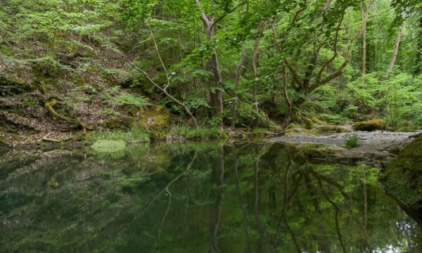 Ένα κρυμμένο φαράγγι-διαμάντι μόλις 50 χιλιόμετρα από την Θεσσαλονίκη