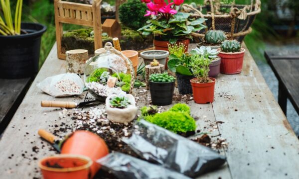 Το DIY κόλπο για το χώμα στις γλάστρες που μεταμορφώνει τα φυτά σε ανθισμένους παραδείσους