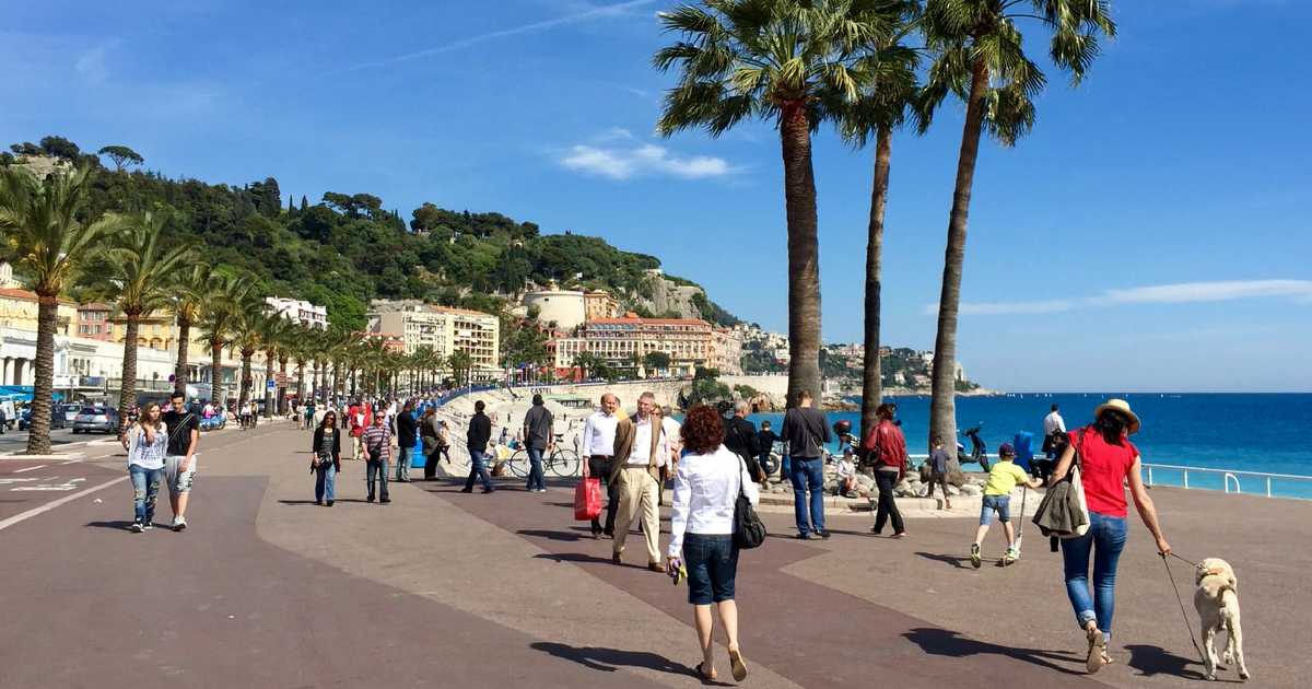 Σκυλιά κάνουν βόλτα στη Νίκαια της Γαλλίας