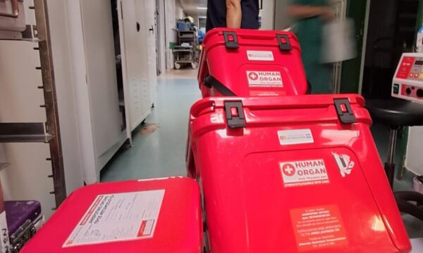 Δωρεά οργάνων στην Ελλάδα: Το θαύμα που μετατρέπει την απώλεια σε αναγέννηση