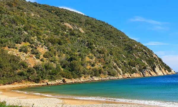 Σήμερα εξερευνούμε την «ξανθιά» ακτή της Χαλκιδικής