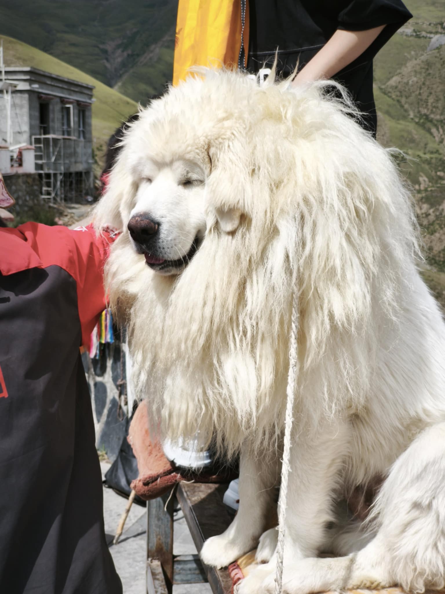 Θιβέτ
