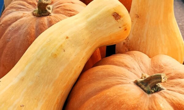 Δύο φθινοπωρινά πορτοκαλί superfoods που προστατεύουν τον οργανισμό σαν «ασπίδα»