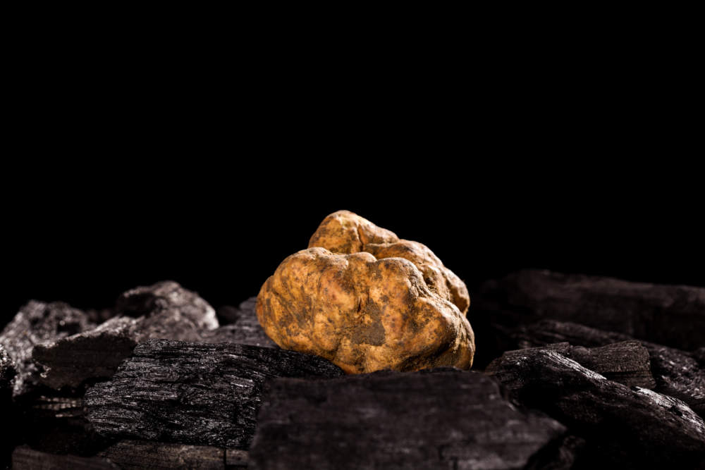 AdobeStock_267906958