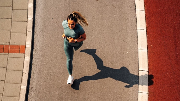 1e1ec2757c8040fdb425049b1856c34a