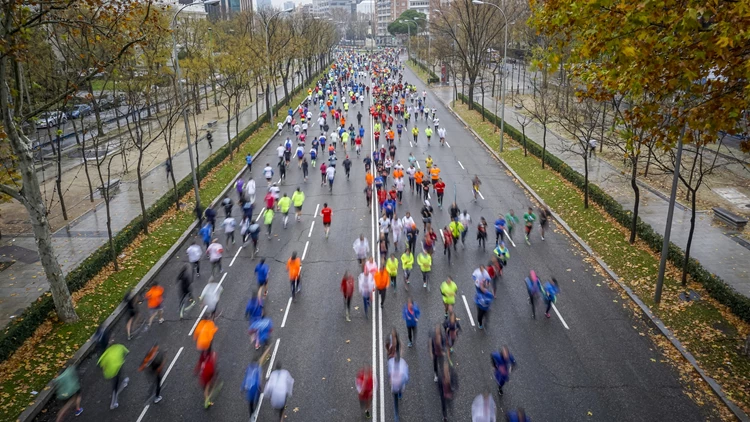 cd8a304ff214467d99d5e124398920d7