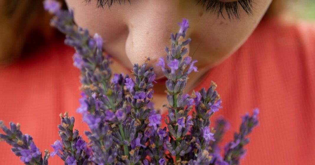 elly-johnson-7sff_QVfpX4-unsplash-1200x630