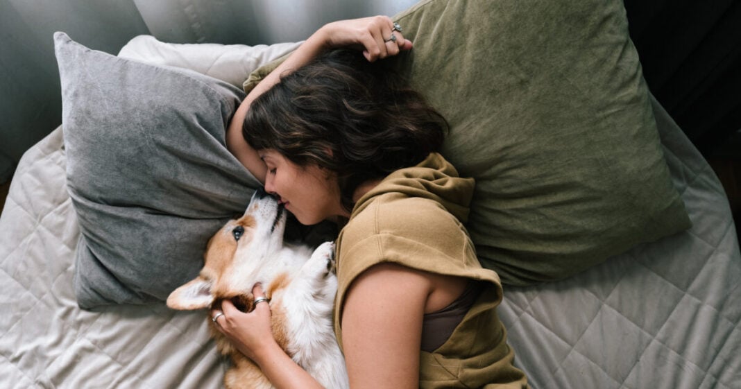 istock-2223188680-1200x630