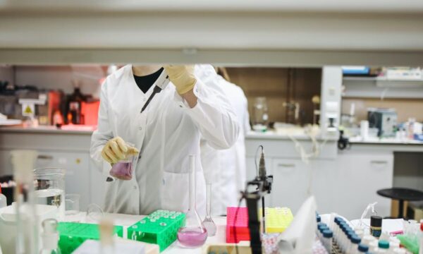 Ινστιτούτο Παστέρ: Η μετάλλαξη του ιού της γρίπης των πτηνών ενδέχεται να προκαλέσει πανδημία πιο σοβαρή από τον κορονοϊό