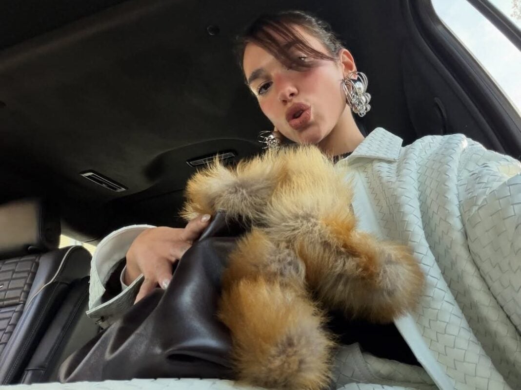 dualipa-1765638346-3786770891724820013-12331195-e1765717006968