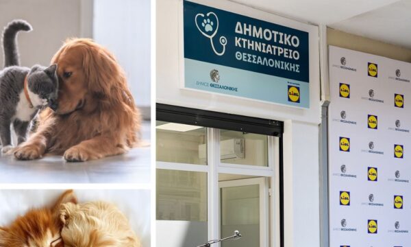 Μια πόλη που φροντίζει – και μια εταιρεία που ενισχύει!