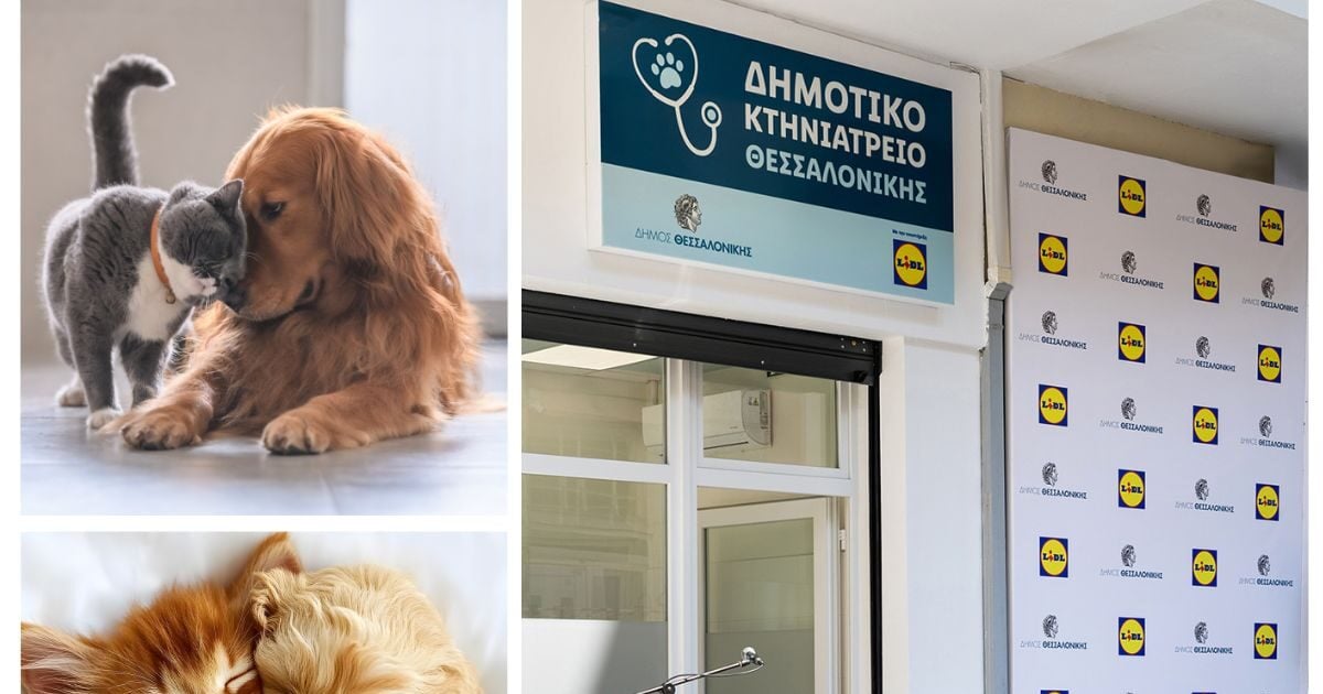 Μια πόλη που φροντίζει – και μια εταιρεία που ενισχύει!