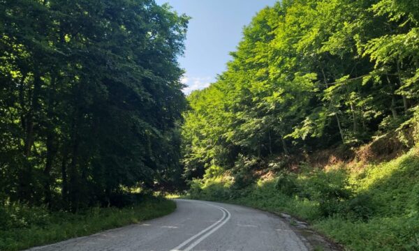 65 λεπτά από τη Θεσσαλονίκη: Μια γραφική απόδραση χωρίς βαλίτσα στην όαση της πόλης