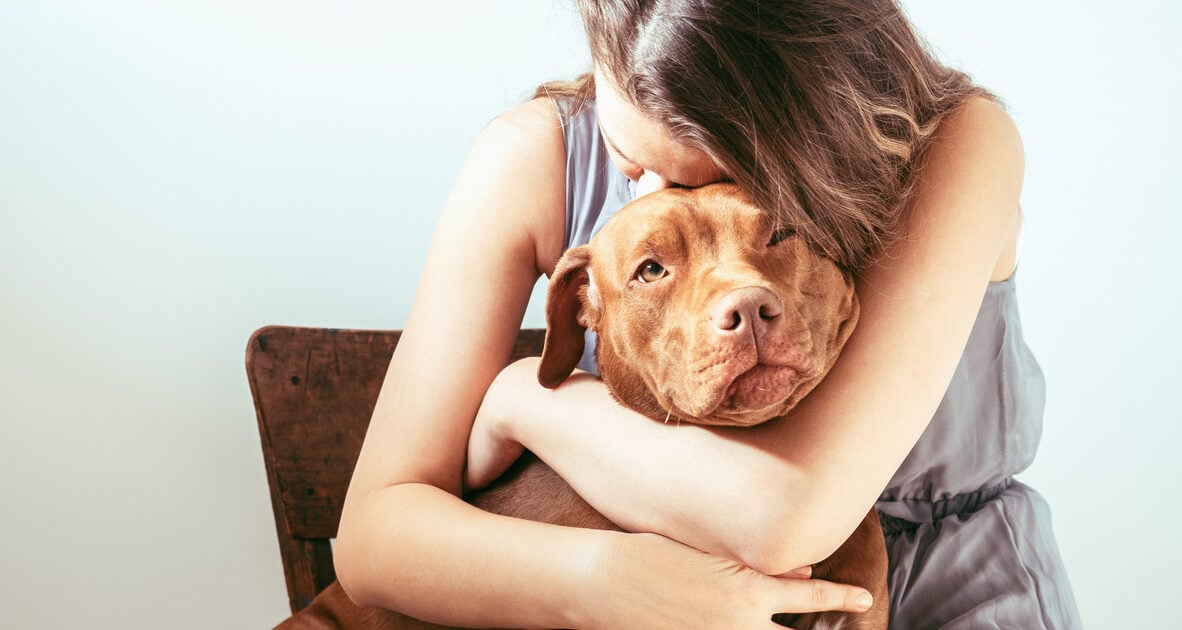 Ζώδια: Ημερήσιες Προβλέψεις για Τρίτη 20 Ιανουαρίου 2026