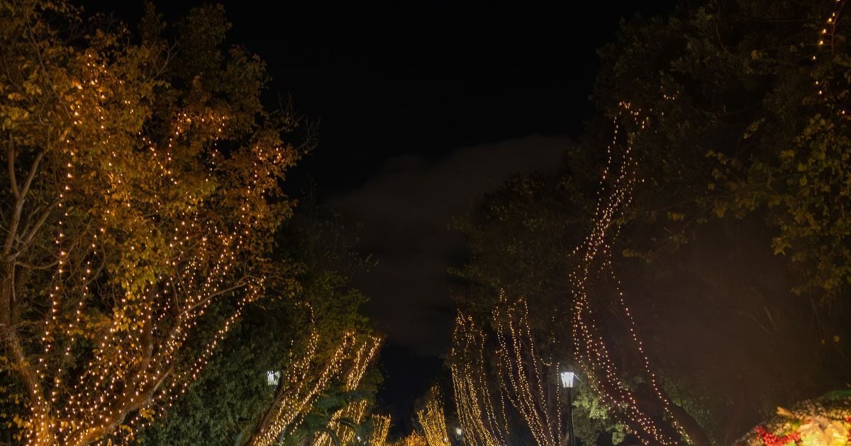 Οι εμπειρίες μας στον κορυφαίο χριστουγεννιάτικο προορισμό της Αθήνας