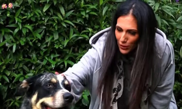Ανθή Βούλγαρη: «Έχω μείνει άναυδη, μου ανέφερε ότι θα ειδοποιήσει το 100» – Η αποκάλυψη για το συμβάν στη βόλτα με τον γιο της