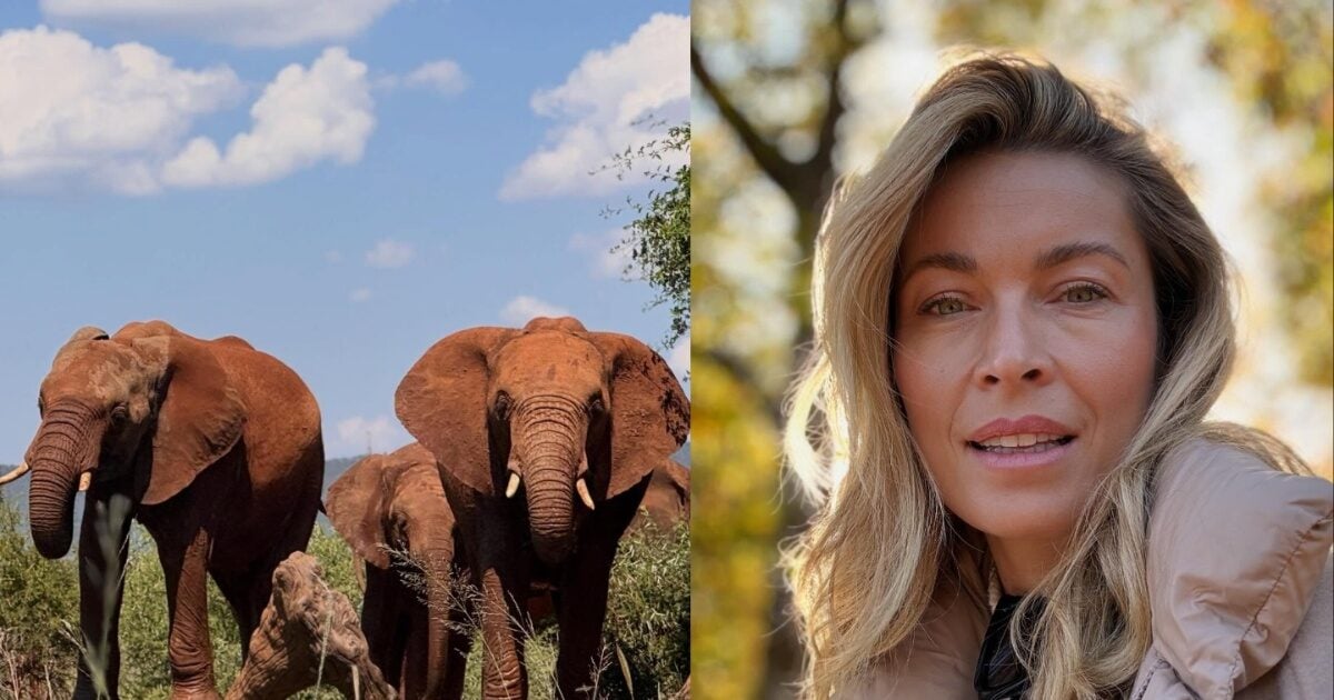 Μαριέττα Χρουσαλά: Γοητευμένη από τη Νότια Αφρική – Εικόνες από το σαφάρι της