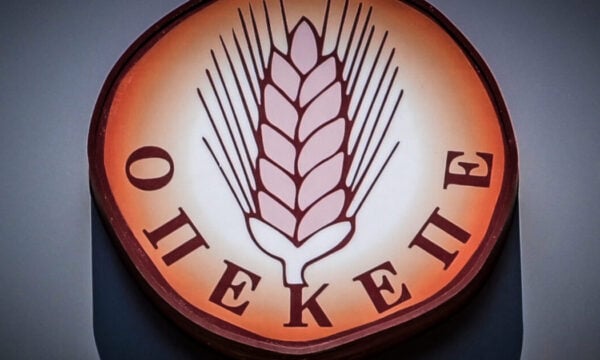 ΟΠΕΚΕΠΕ: Σοβαρές κατηγορίες στους συλληφθέντες για παράνομες ενισχύσεις στην Κρήτη
