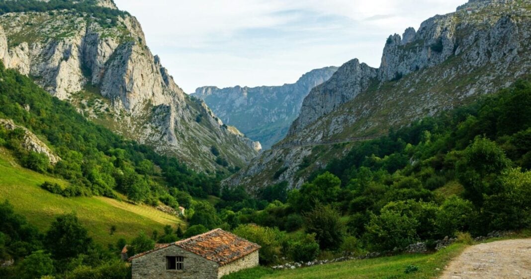 javier-rincon-lSwy-mj3h4M-unsplash-1200x630
