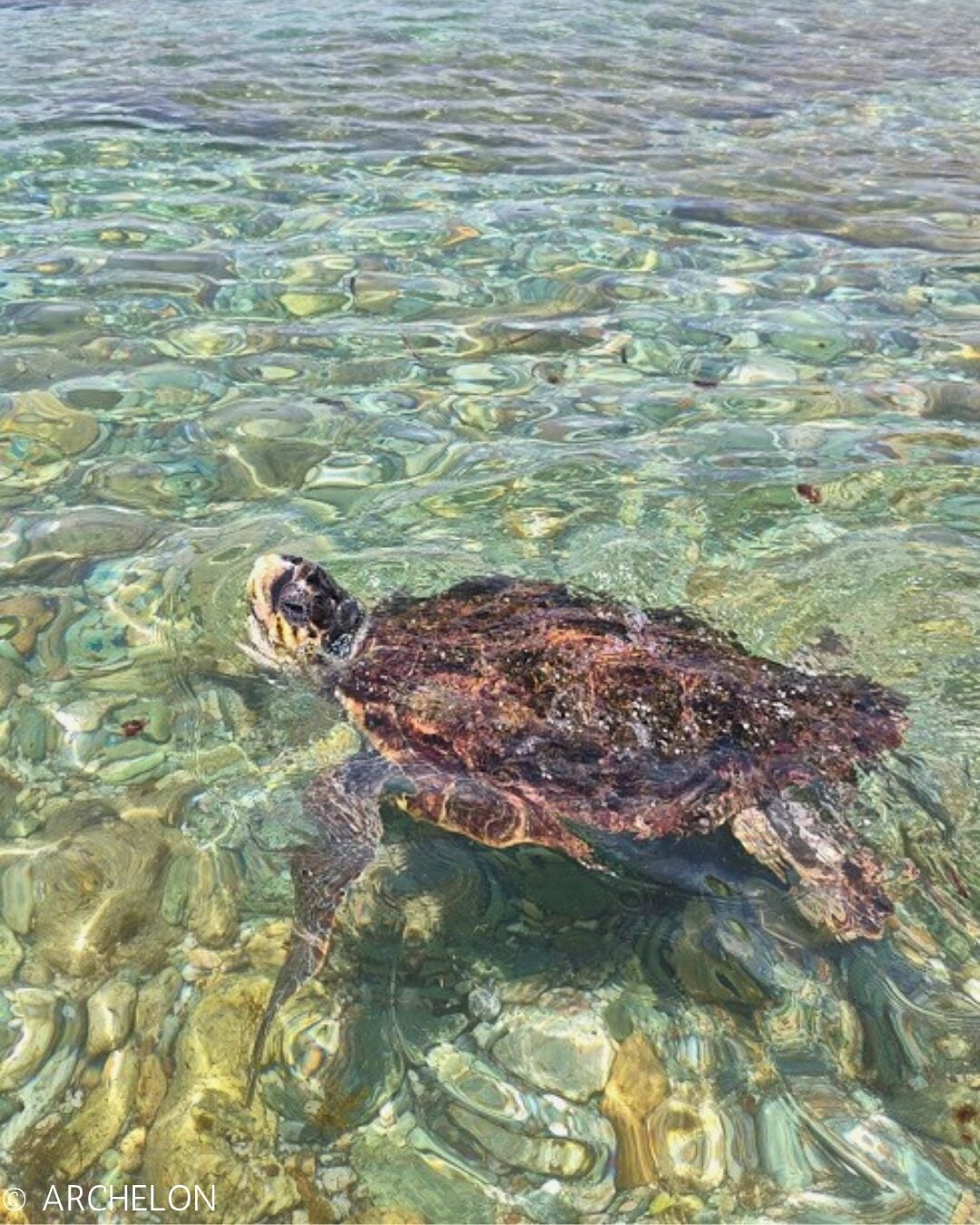Mar-Bella Collection: Δέσμευση για το Ιόνιο