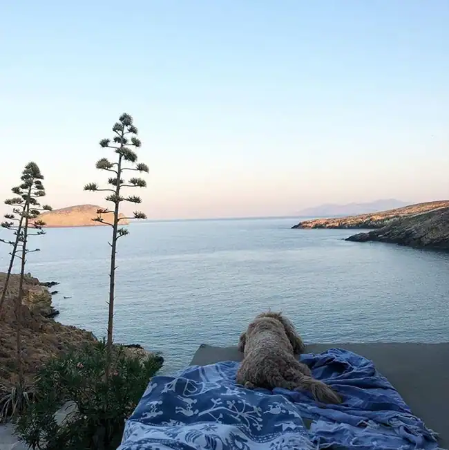 Η Μπαλατσινού ανατρέπει τα πάντα μετά τον γάμο της κόρης της: Η πώληση του σπιτιού στην Πάτμο για 4.800.000 ευρώ και η νέα της ζωή ως γιαγιά