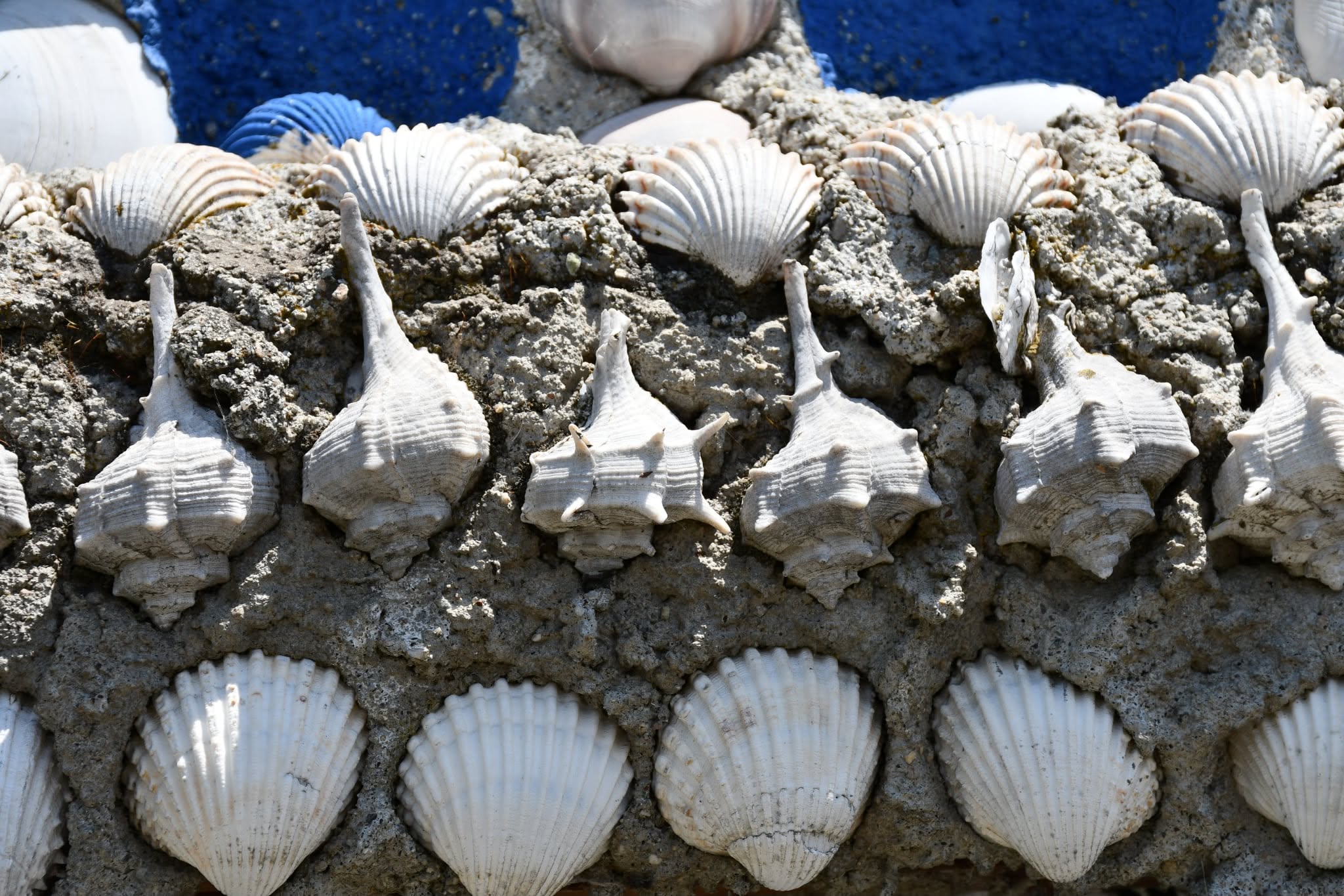 Το «σπίτι των κοχυλιών» και ο «Gaudí» του Παλαιόπυργου Λάρισας