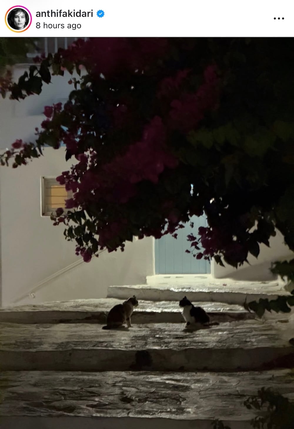 Ανθή Φακιδάρη: Καλοκαιρινές στιγμές ξεκούρασης με μαγιό Missoni