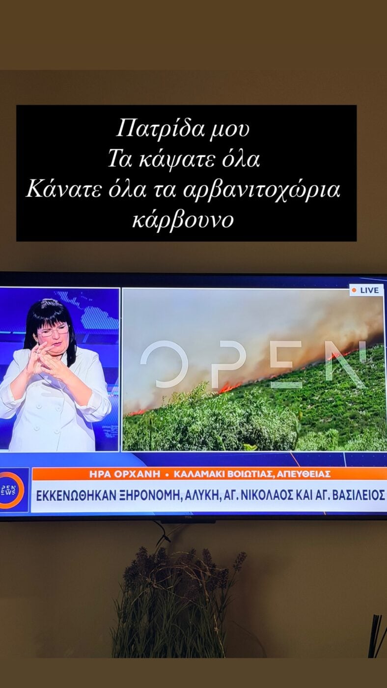 Κατερίνα Ζαρίφη για τις φωτιές στη Βοιωτία: «Πατρίδα μου, τα κάψατε όλα»