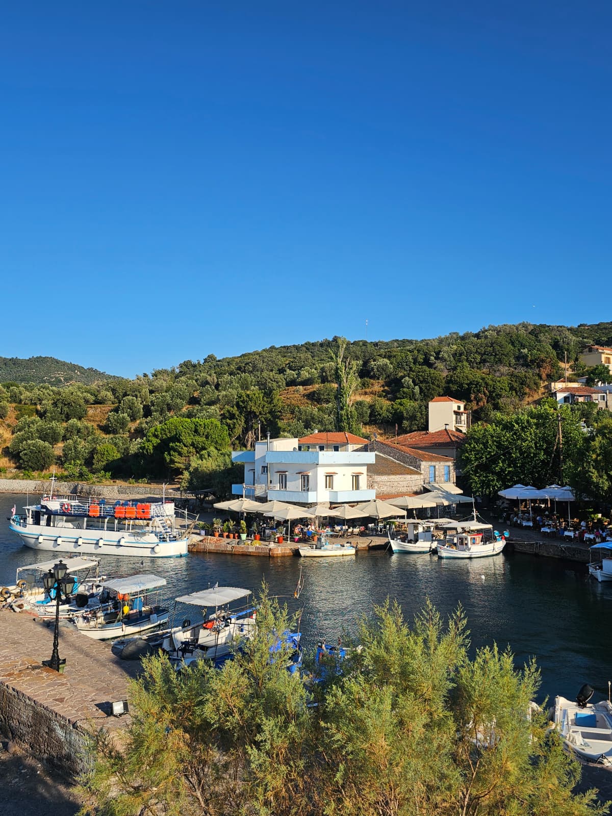 Η Λέσβος αντιστέκεται ακόμα