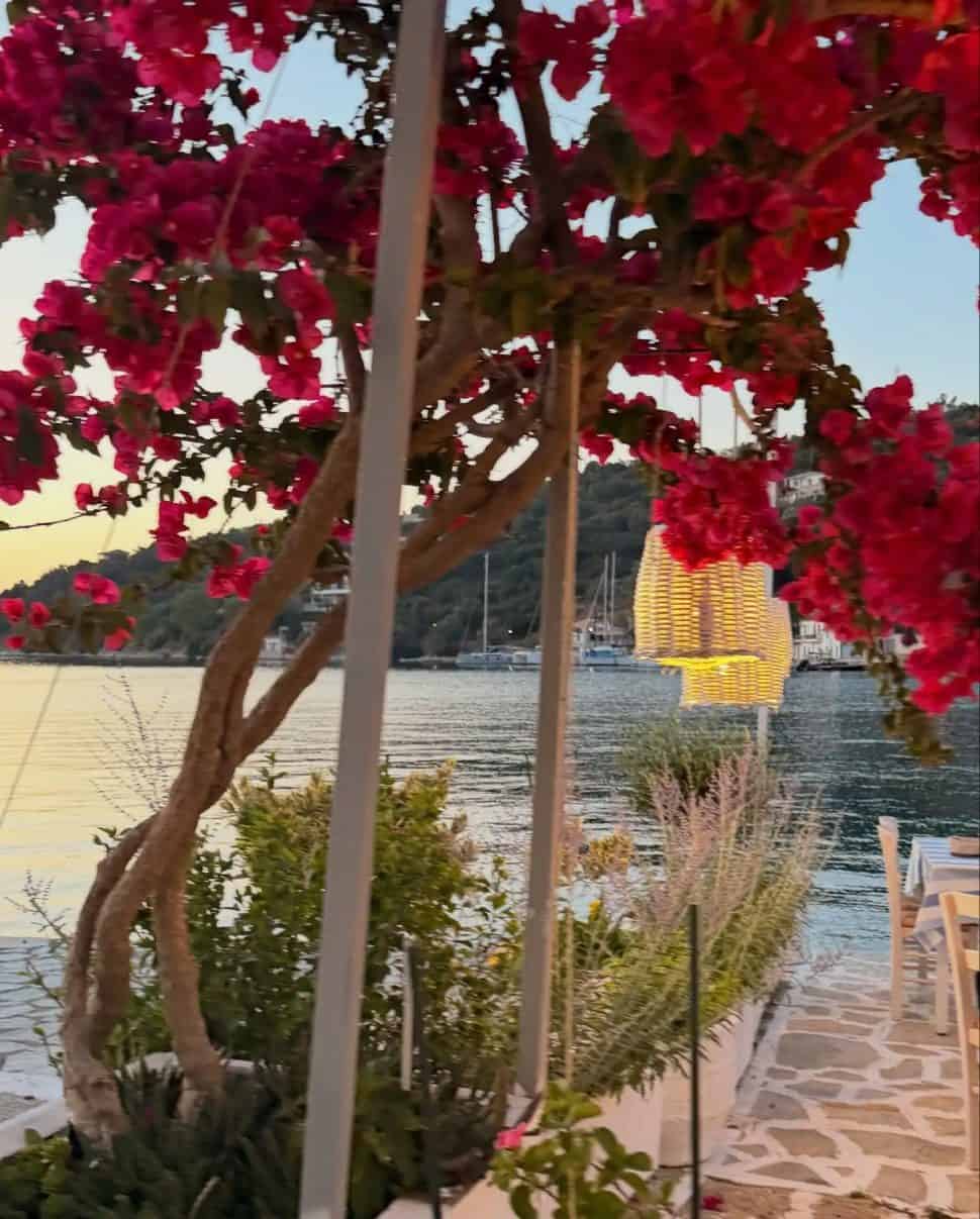 Δέσποινα Βανδή: Οι φωτογραφίες από τις διακοπές τους στο σκάφος με έρωτα και πάθος