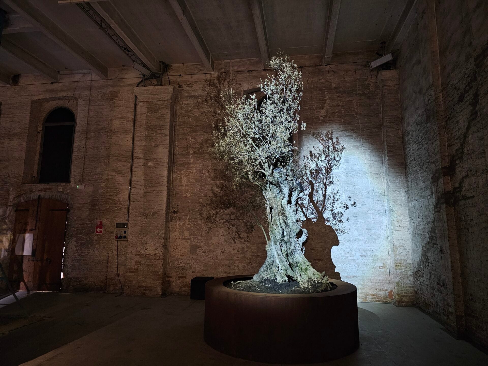 Biennale Arte 2026 στη Βενετία – Μέρος δεύτερο