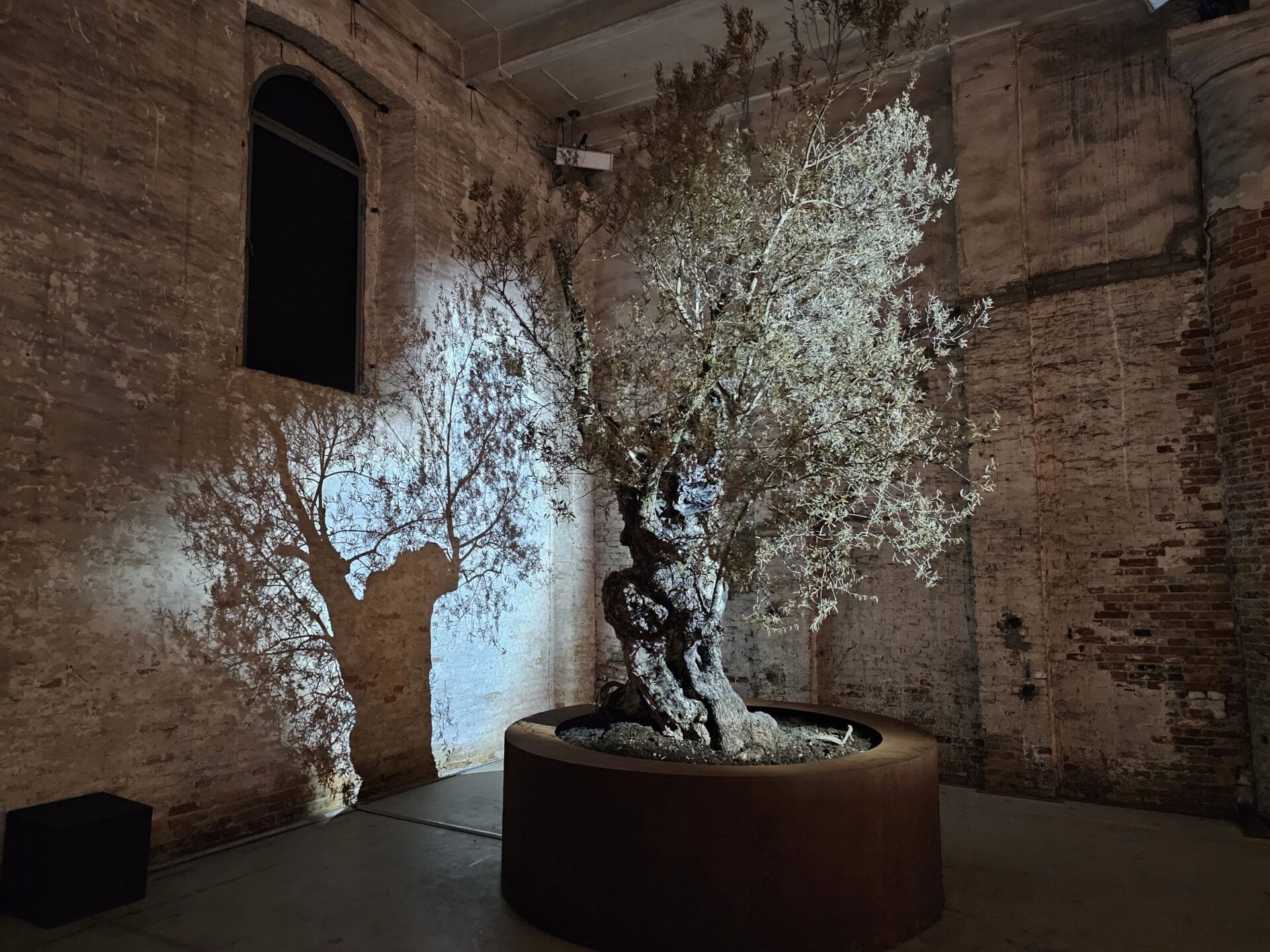 Biennale Arte 2026 στη Βενετία – Μέρος δεύτερο