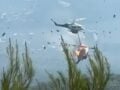 Σύγκρουση ελικοπτέρων στην Ψάθα: Επιχειρούσαν στη φωτιά στα Μέγαρα, νεκροί οι χειριστές (βίντεο)
