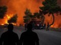 Δύο συλλήψεις για τη μεγάλη φωτιά στη Βοιωτία: Βίντεο από το σημείο έναρξης