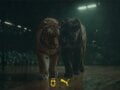 ΚΑΕ Άρης: Η PUMA γίνεται ο νέος επίσημος προμηθευτής αθλητικού ιματισμού