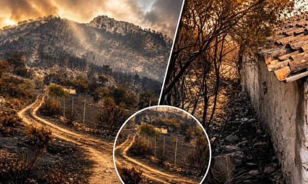 Φωτιά στο Πόρτο Γερμενό: Όλα έγιναν στάχτη, εκτός από το εκκλησάκι του Αρχάγγελου Μιχαήλ (βίντεο)