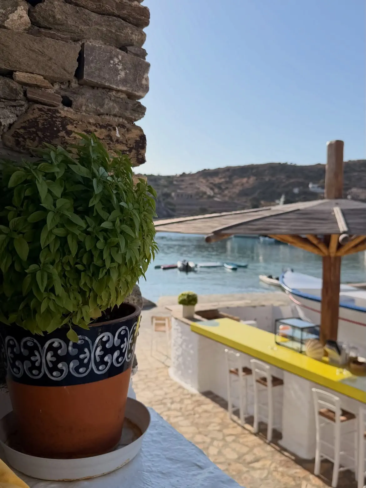 Ελένη Τσολάκη