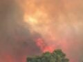 Φωτιά στη Δυτική Αττική: Ρεπόρτερ και εικονολήπτης του ΣΚΑΪ περικυκλώθηκαν από τις φλόγες – η δημοσιογράφος φώναζε «Νίκο, φύγε!»
