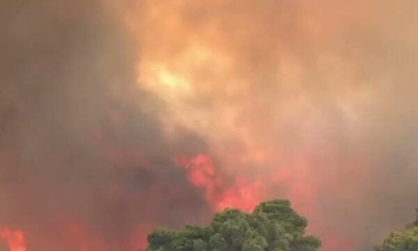 Φωτιά στη Δυτική Αττική: Ρεπόρτερ και εικονολήπτης του ΣΚΑΪ περικυκλώθηκαν από τις φλόγες – η δημοσιογράφος φώναζε «Νίκο, φύγε!»