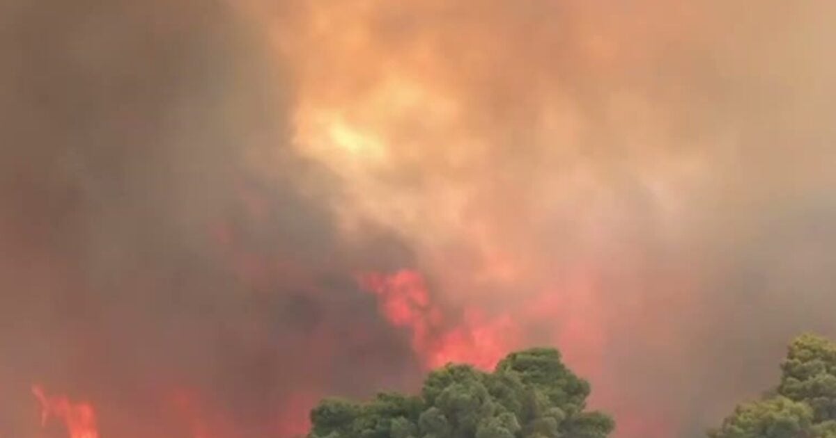 Φωτιά στη Δυτική Αττική: Ρεπόρτερ και εικονολήπτης του ΣΚΑΪ περικυκλώθηκαν από τις φλόγες – η δημοσιογράφος φώναζε «Νίκο, φύγε!»