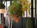 Hermès: Τα λαχανικά γίνονται οι πιο αναπάντεχοι πολυέλαιοι