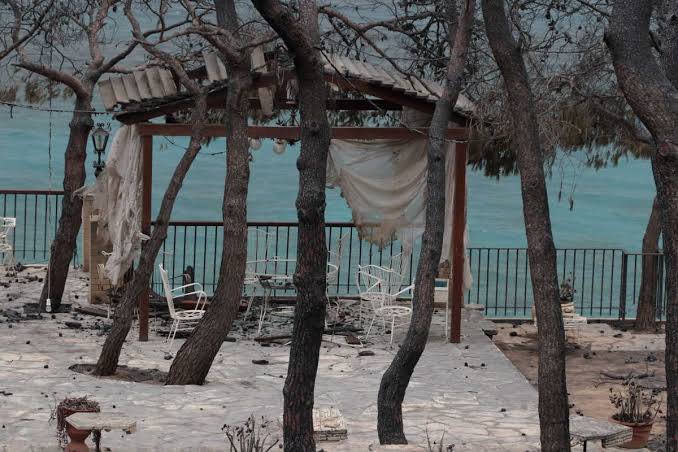 9 επώνυμοι που έχασαν τις περιουσίες τους στις καταστροφικές πυρκαγιές: ποιοι έμειναν χωρίς σπίτια
