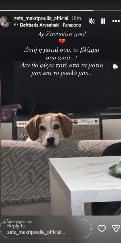 Πένθος για Χατζηγιάννη-Μακρυπούλια: Τα λόγια τους «Δεν θα φύγει ποτέ από το μυαλό μου»