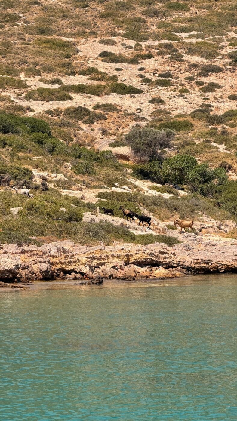Αμαλία Κωστοπούλου: Νέες φωτογραφίες από την Πάτμο και η ανυπομονησία της για το φθινόπωρο