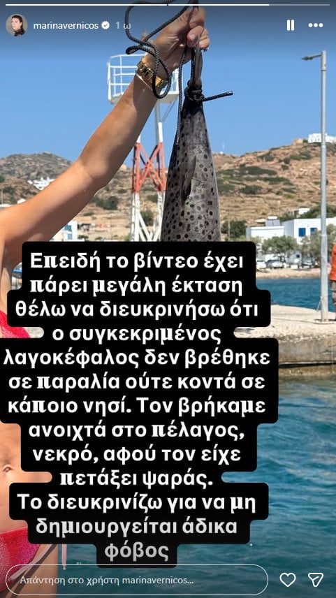 Μαρίνα Βερνίκου απαντά στις αντιδράσεις μετά το βίντεο με τον λαγοκέφαλο: «Έχει πάρει μεγάλη έκταση»